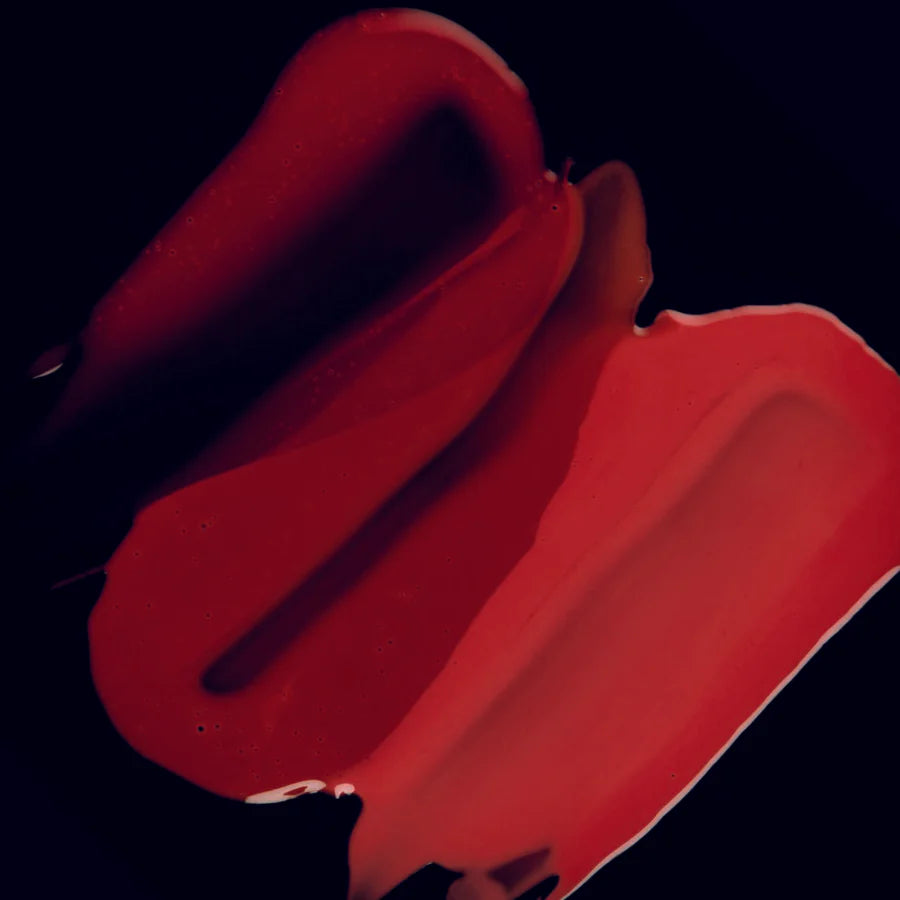 KIT FRAN GLOSSLICIOUS FRAN BY FRANCINY EHLKE